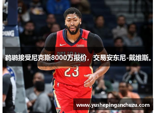 鹈鹕接受尼克斯8000万报价，交易安东尼-戴维斯。